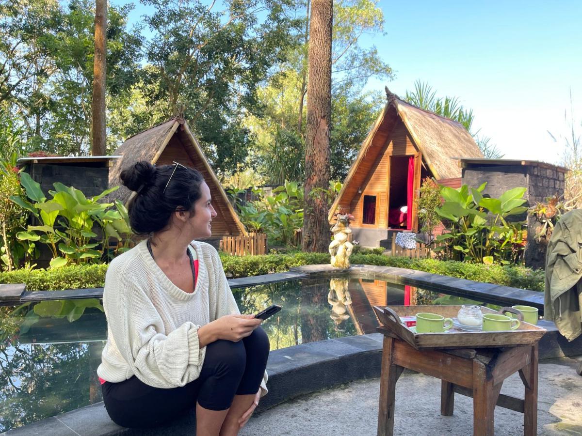 Triangle House And Private Hot Spring Homestay