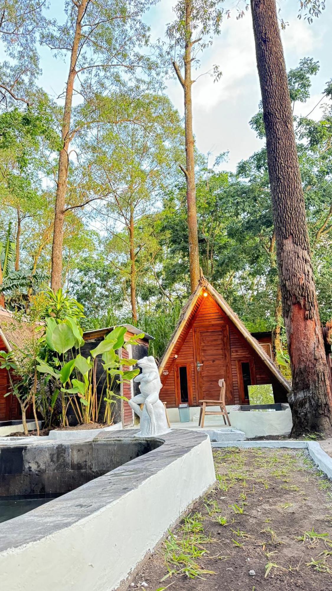Triangle House And Private Hot Spring Homestay