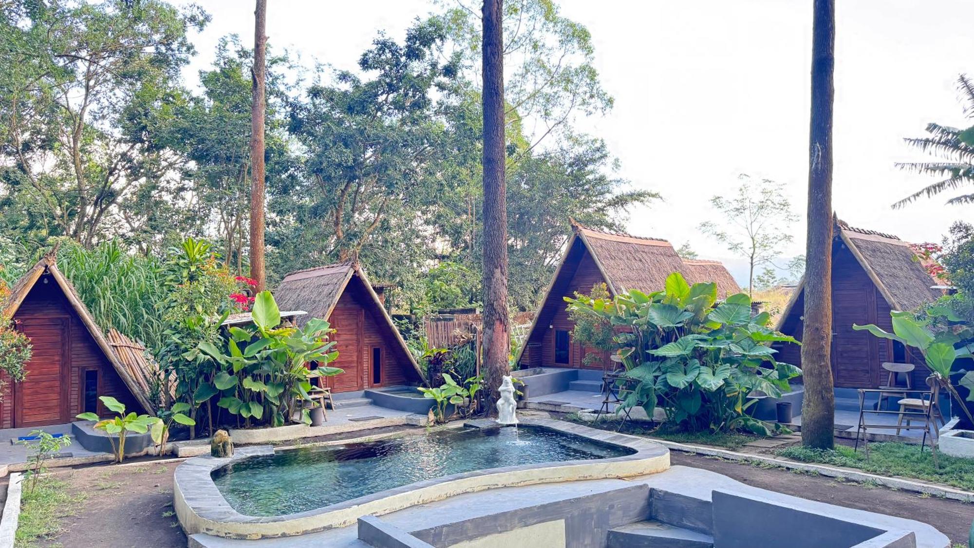 Séjour chez l'habitant Triangle House And Private Hot Spring Kintamani