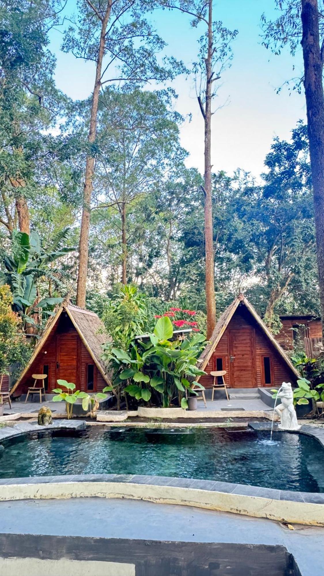 Triangle House And Private Hot Spring * Kintamani