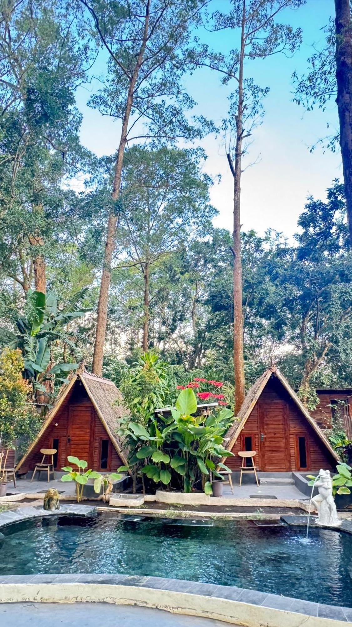 Triangle House And Private Hot Spring Séjour chez l'habitant Kintamani