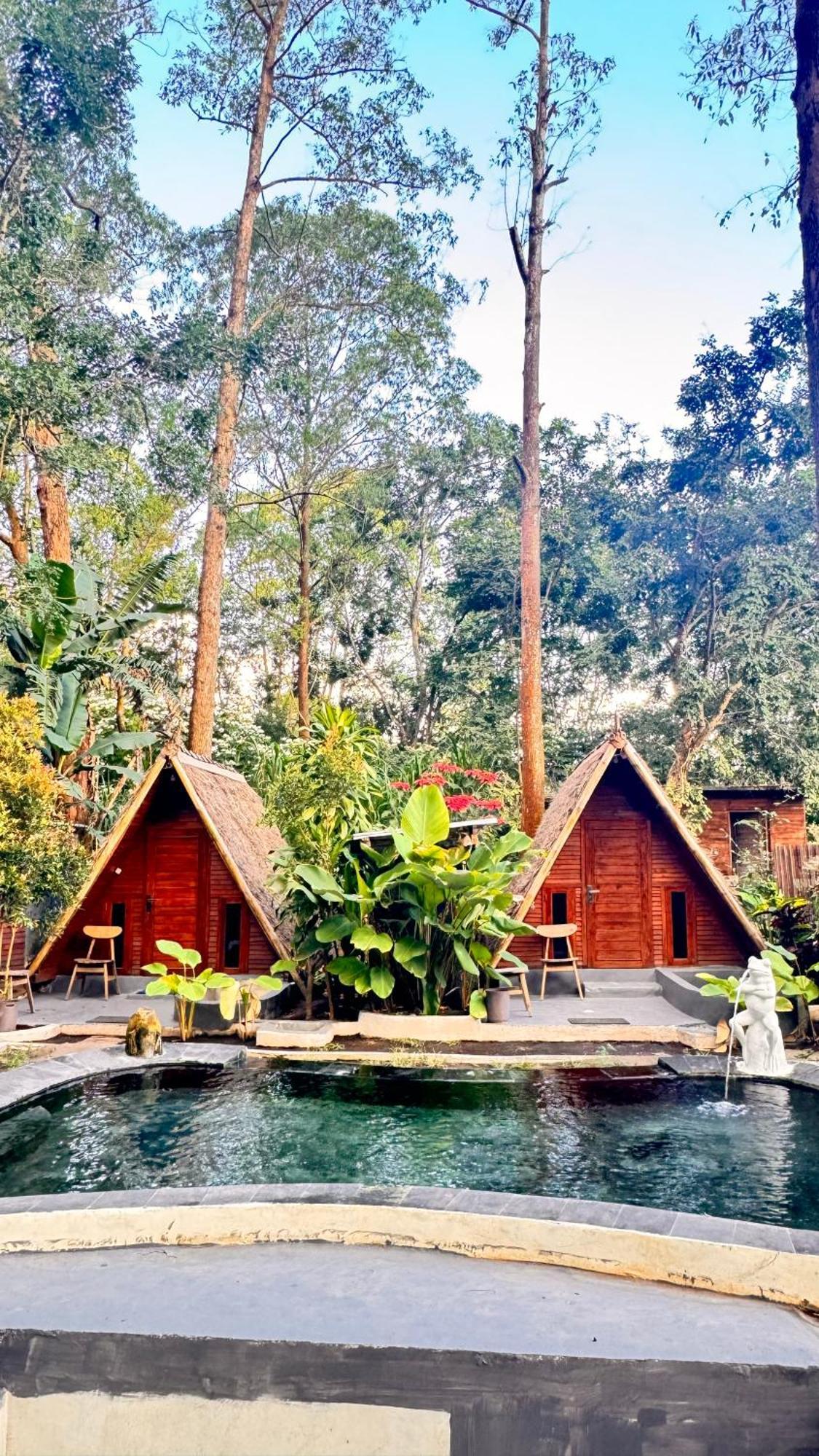 Séjour chez l'habitant Triangle House And Private Hot Spring Kintamani